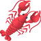 nn
